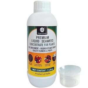 seaweed liquid fertilizer