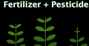 fertilizer & pesticides