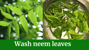 wash neem leaves