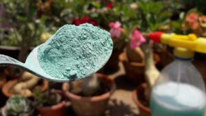 Fungicide powder