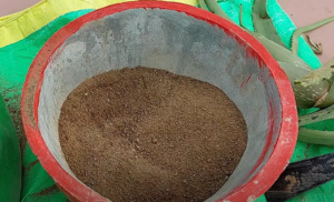 well-draining soil mix
