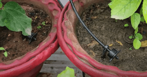 self watering system