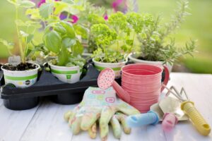 gardening planning