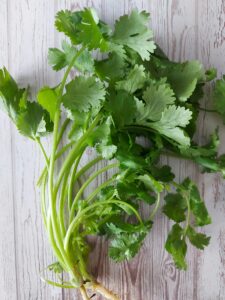 coriander