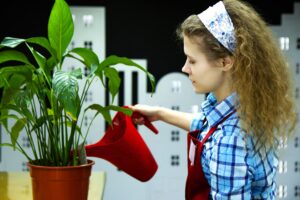 How Much Water Does a Peace Lily Need