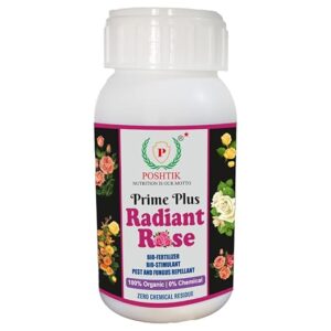 rose radiant fertilizer