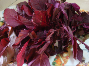 Amaranth Leaves