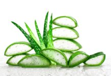 Slice Aloe Vera very useful herbal medicine for skin and hair.