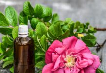 Aromatic flowers for your garden