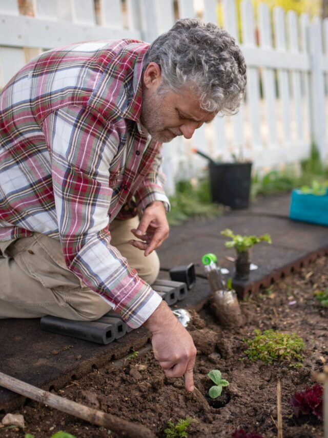 gardening activities