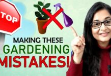 mistakes to avoid in gardening