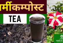 vermicompost tea hindi thumbnail (1)