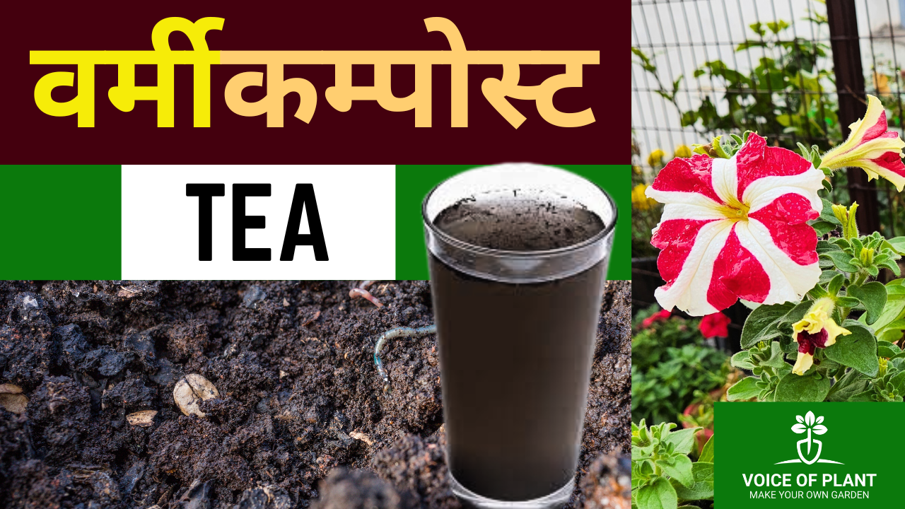 Vermicompost deals in hindi