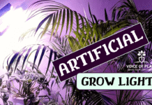 Artificial grow lights thumbnail