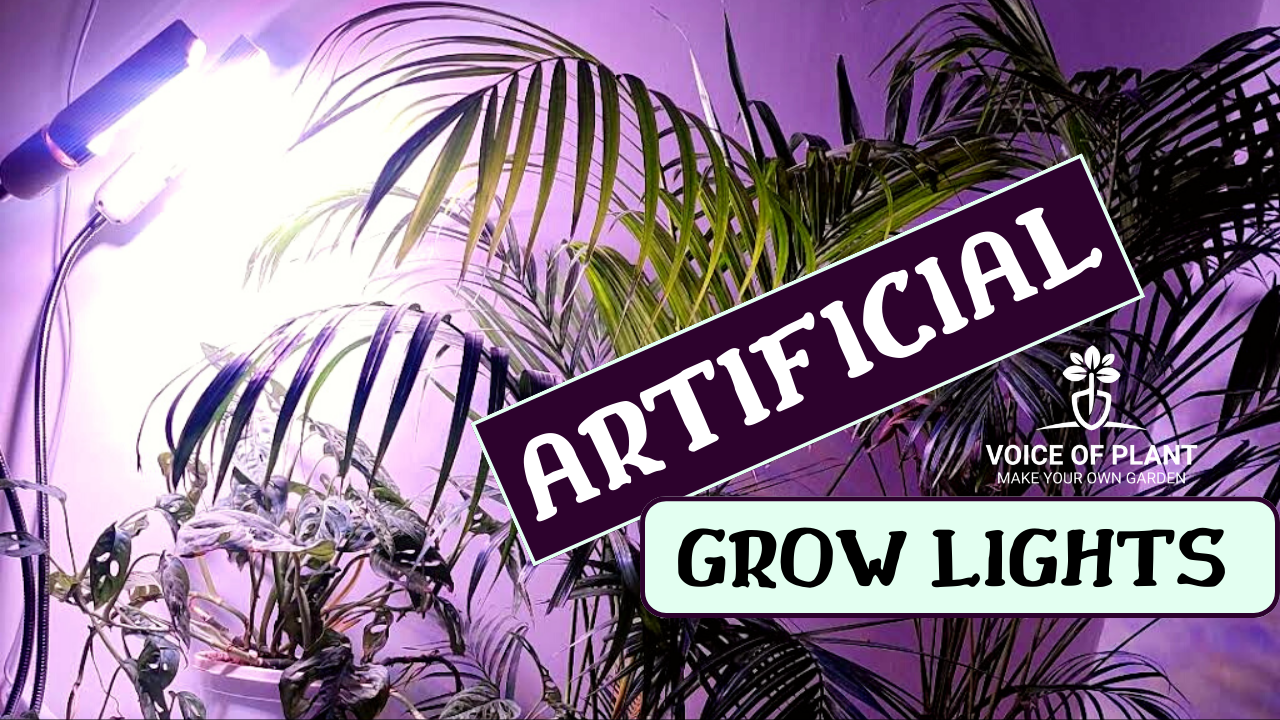 Artificial grow lights thumbnail