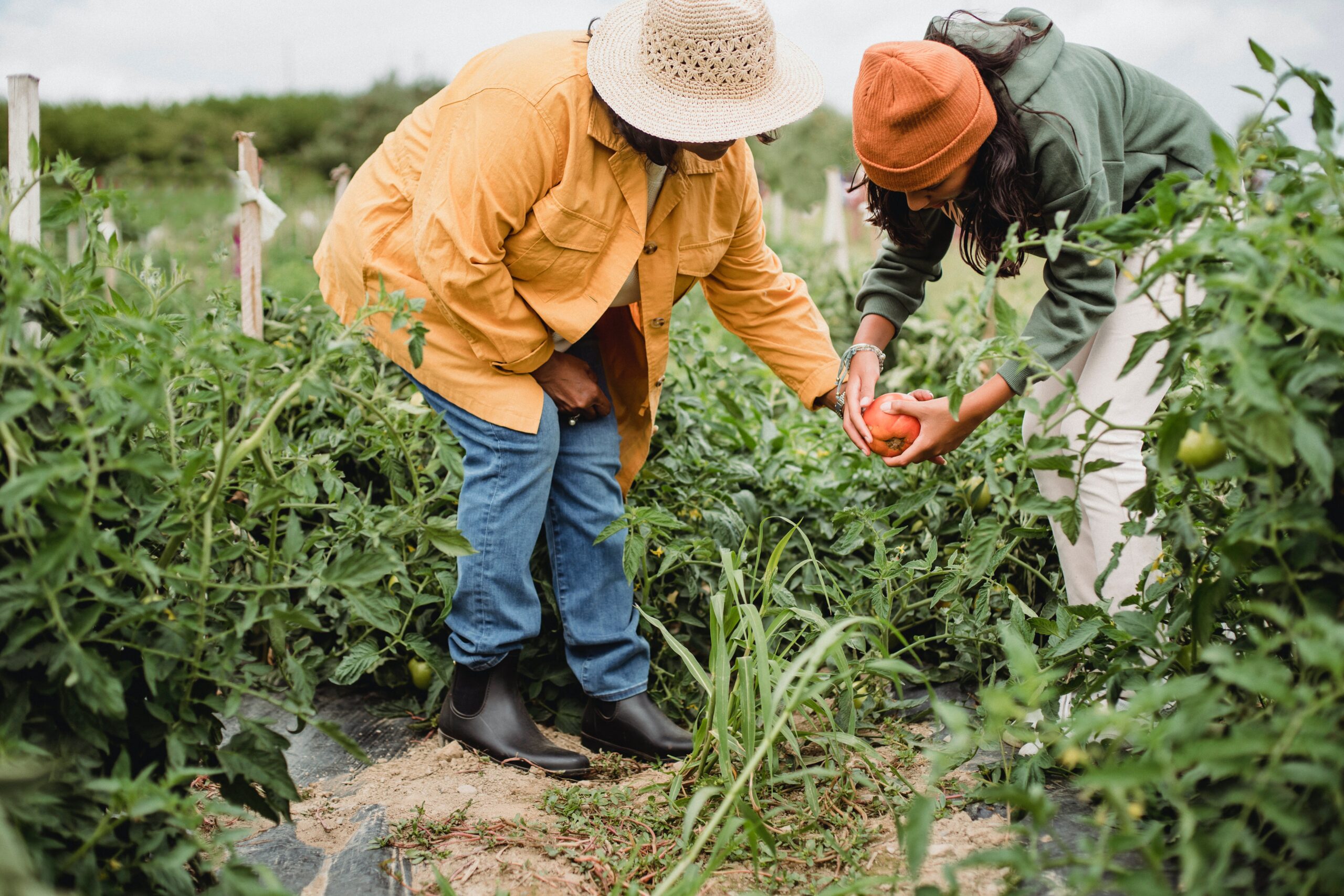 gardening working professional