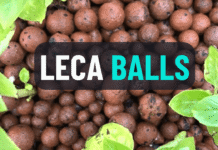 Leca balls in gardening