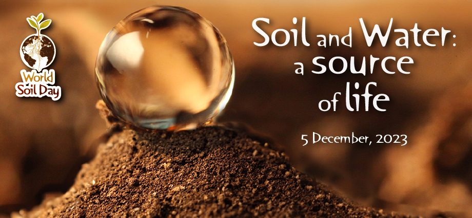 world soil day