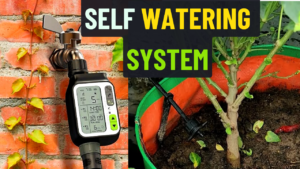 self watering system