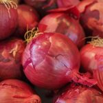 onion peel fertilizer