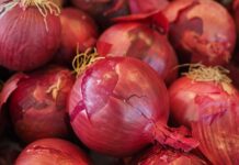 onion peel fertilizer