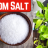 epsom salt indoor plants