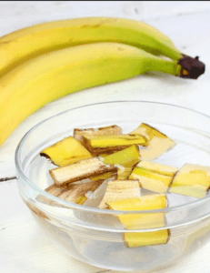 Banana Peel Fertilizer