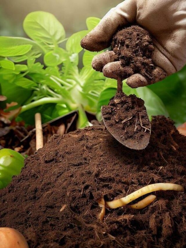 Perfect Soil Mixture for Plants