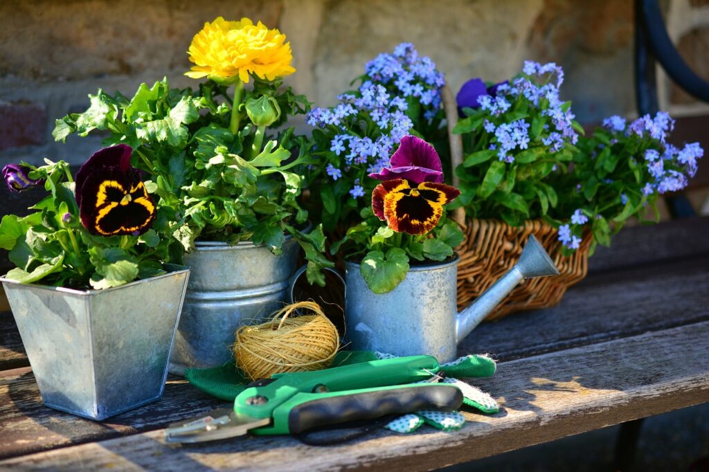 Spring gardening
