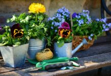 Spring gardening