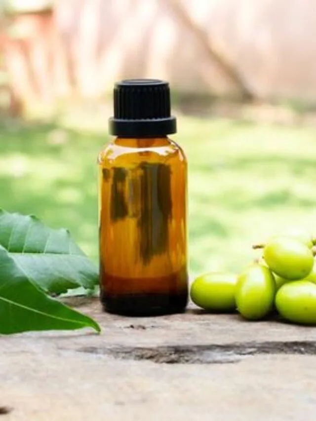 Neem Oil is Best Organic Pesticides for Plants: Check Benefits & Uses