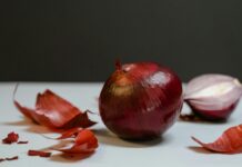 How to Make Onion Peel Fertilizer at Home | Benefits & Easy DIY Guide Onion peel fertilizer