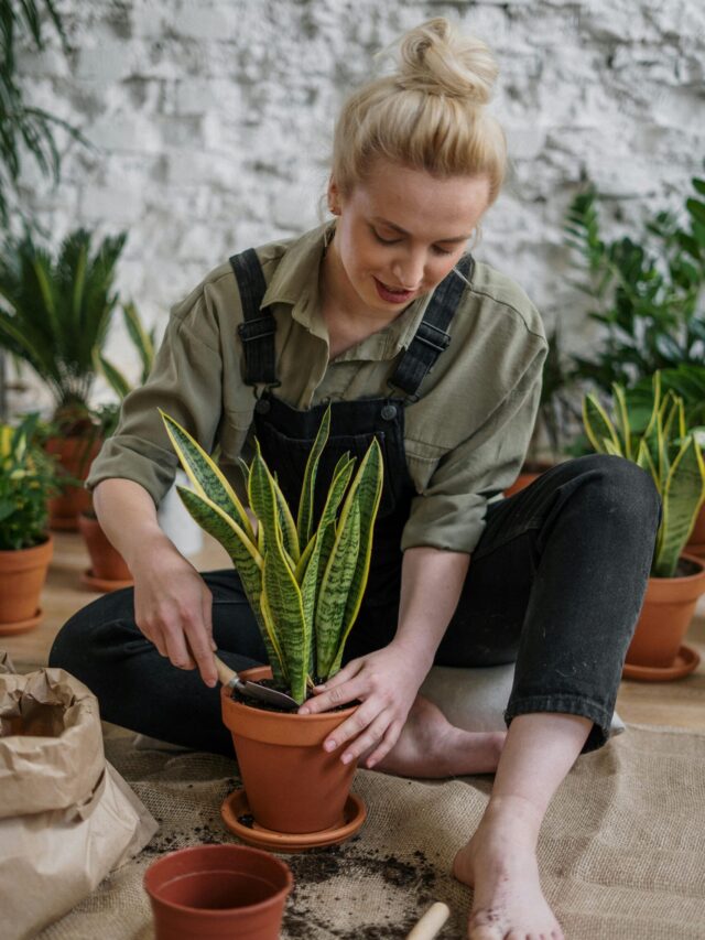 gardening