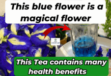Aprajita blue flowers tea benefits