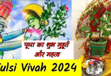 Tulsi Vivah 2024