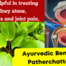 Benefits of Patherchatta plant