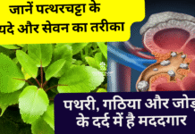 patharchatta ke faydey