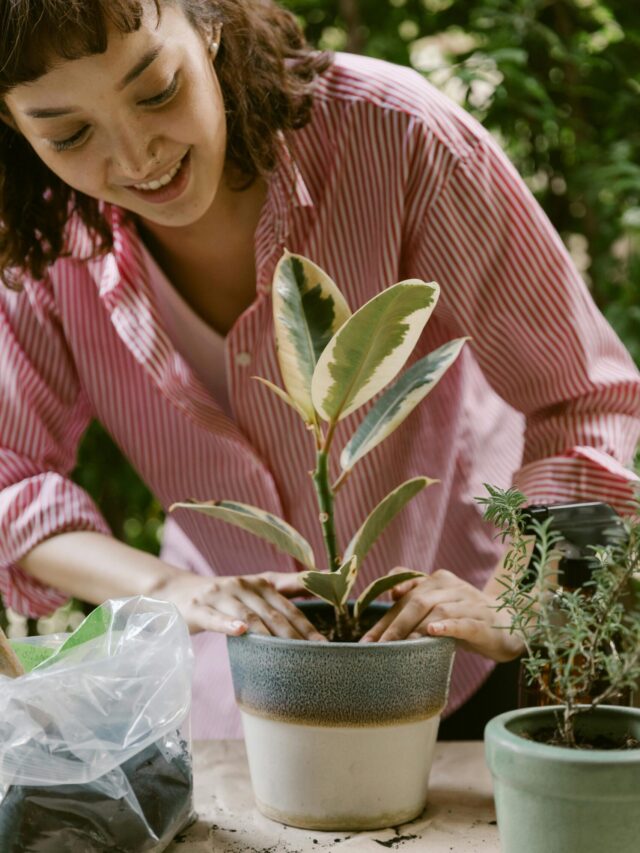 7 Gardening Tips: How to Make Plants Grow Faster