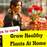 how to grow healthy plants at home