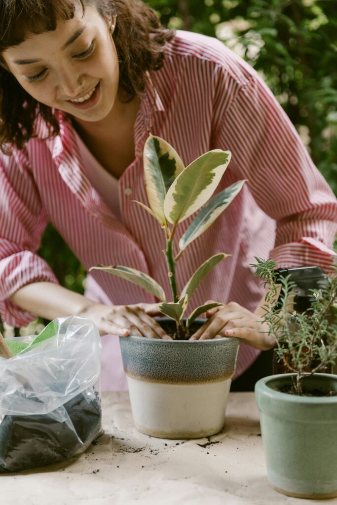plant care plant care