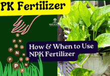 NPK Fertilizer for plants