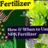 NPK Fertilizer for plants