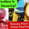 Which Fertilizer Is Best for Flowering