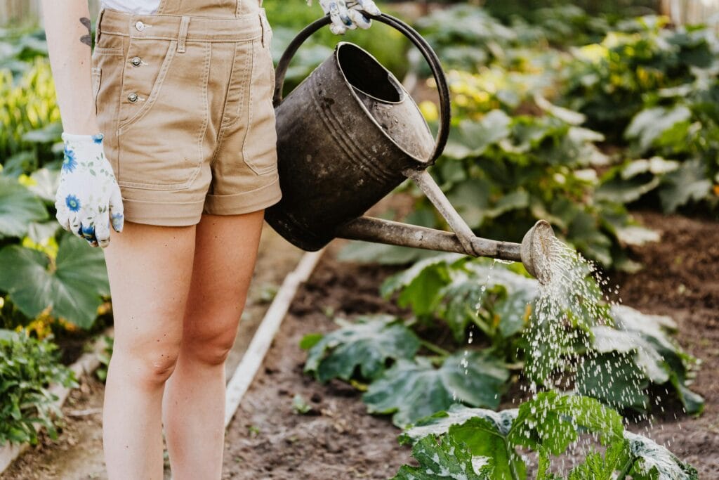 gardening