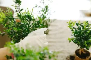 gardening