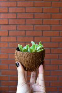 Gardening Hacks