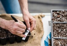 gardening hacks your must know