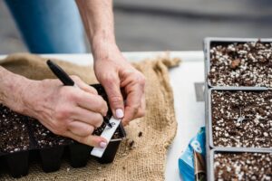 gardening hacks your must know