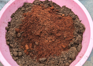 Coco peat in soil mix