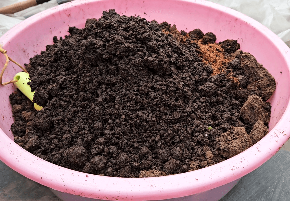 Best Soil Mixture for Rose Plants: 7 Steps to Make Perfect Soil Mix for ...